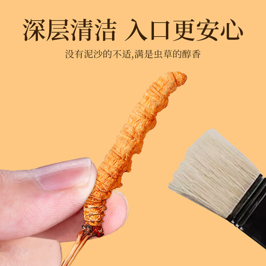 
Tongfu Cordyceps sinensis 2-3 roots/g 20g About 50 roots gift boxes, nourishing nutritional supplements, gifts for elders