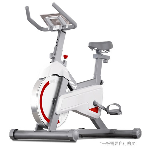 Lijiujia spinning bicycle home smart sports fitness equipment indoor silent bicycle small D100 12Jin Jin equals 0.5kg flywheel set/free plug-in/200Jin Jin equals 0.5kg load bearing