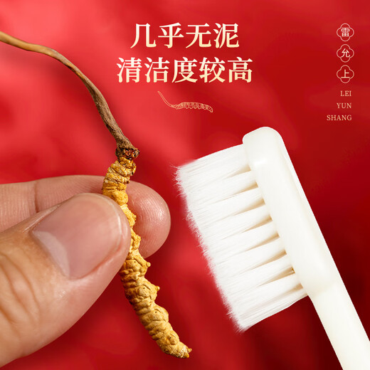 Lei Yunshang [Oficial] Cordyceps Sinensis Caja de regalo de alta gama Suplementos de alta gama para cajas de regalo para ancianos y padres [Cordyceps para amigos, Remains de amistad] 5 piezas/g 10g aproximadamente 50 piezas