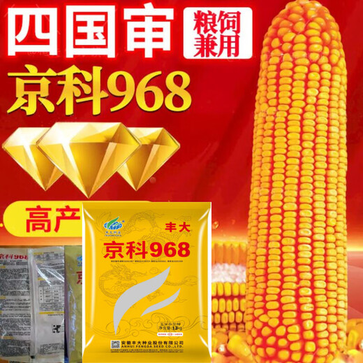 New species Fengda Jingke 968 corn seed, high yield, drought resistant, short stem, disease resistant, big stick resistant to lodging, Academy of Agricultural Sciences variety, new species Shikoku Shenjingke 968 4000 grains, 5 bags