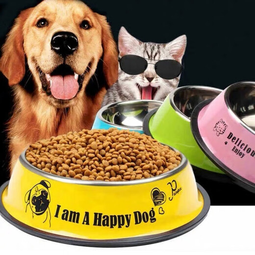OIMG Stainless Steel Dog Bowl Golden Retriever Teddy Dog Bowl Cat Dog Food Bowl Labrador Anti-Slip Drinking Bowl Dog Food Bowl Green (Random Pattern)