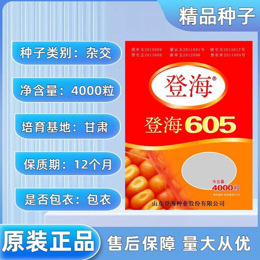 National-approved new species Denghai 605 corn seeds, double national-approved short-stem, high-yielding, red-shaft, large-cob corn seeds, national-approved quality Denghai 605, one bag, 4,000 grains, 1 mu of land