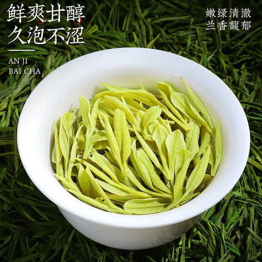 Chen Yifan rare white tea tea green tea Anji Baiye No. 1 tea tree fresh leaves and buds rare white tea 4 cans total 200g Chen Yifan rare white tea tea green tea Anji Baiye No. 1 tea tree fresh leaves and buds rare white tea 4 cans total 200g