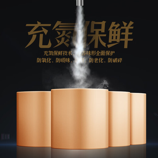 芯轩10款小罐组合茶叶试喝装 红茶金骏眉小种大红袍肉桂乌龙茶绿茶 一泡难求十大茗茶试喝装*10罐49g