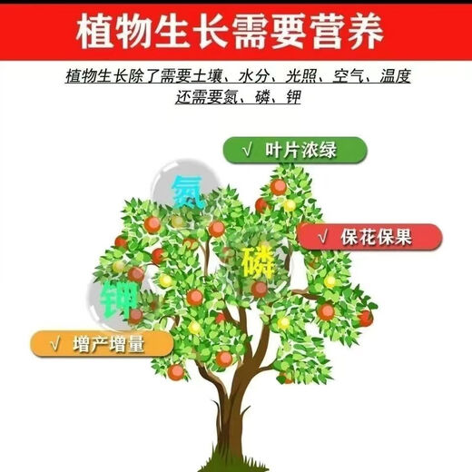 Agricultural urea phosphate is used to remediate saline-alkali soil and improve soil plants. Agricultural nitrogen and phosphorus fertilizer 1000g packaging