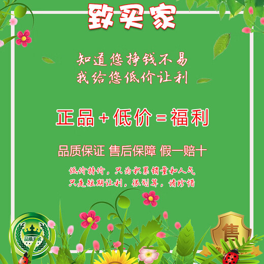 法莱阿玛尼皮带男真皮轻奢商务男士腰带自动扣头层牛皮青年休闲裤带生日礼物 PD844枪色-高档实木礼盒 125cm 长短可剪