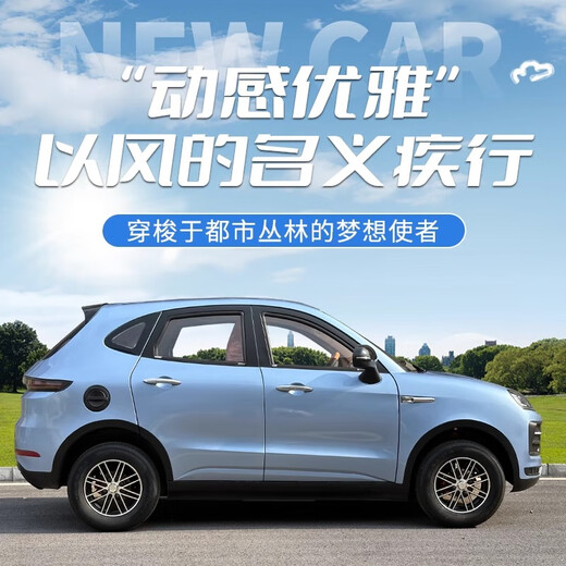 Four-wheeled electric vehicle, adult household range 300 kilometers, electric vehicle, small battery vehicle, gas-electric dual-purpose new energy electric vehicle, elderly walking electric vehicle, Laotou Le, basic model (battery only)