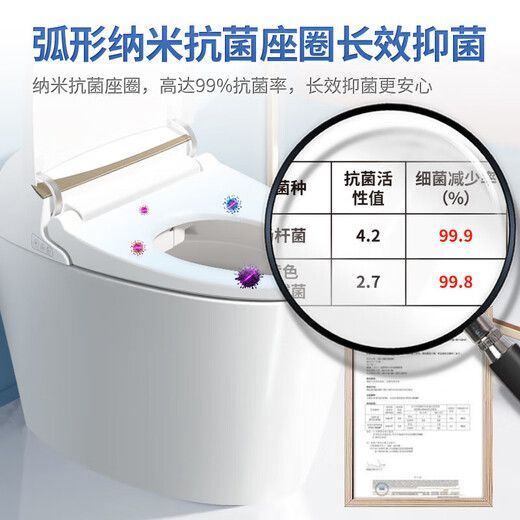 Dier Intelligent Toilet Light Hydrotherapy Noah Series Intestinal SPA Hot when flushed after power outage - Noah B 305 Pit distance