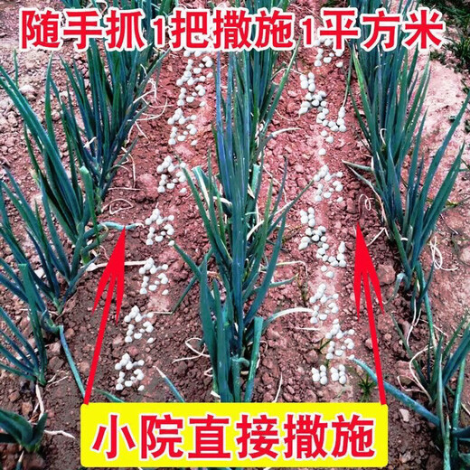 复合肥氮磷钾肥料颗粒化肥种花种菜花卉果树蔬菜通用肥料速溶增产 蔬菜专用复合肥【十斤】