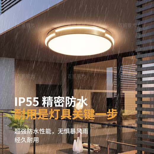 古城暖光超薄全铜吸顶灯房间卧室中式走廊过道阳台灯入户门门廊灯X3890 310MM全铜吸顶灯/三色变光