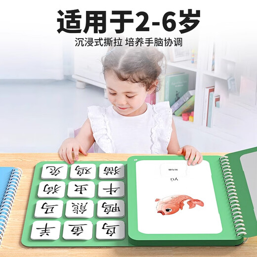 骉祥幼儿安静撕撕书宝宝识字游戏粘贴书儿童魔术贴玩具认字卡y 【全10本套】宝宝识字启蒙游戏书