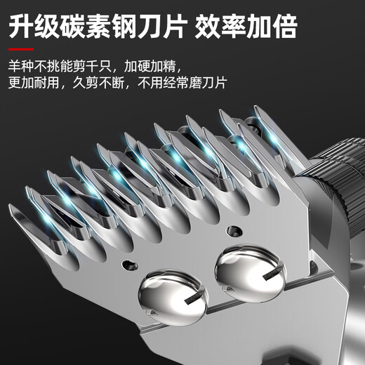 Aiboduo Electric Schere Wolle Fader Hochleistungswolle Schere rasierte Wolle Elektrische Fader -Schere Wolle Schere 1 Lithiumbatterie tragbar 1 Elektrische 1 Ladung [11980WA/6 Gang