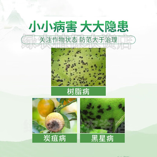 Gaozhao 40% fluorosilicone file for black star black spot disease rose black pox powdery mildew pear tree Daguangming pesticide fungicide 100ml*5 bottles