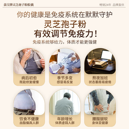 佳尔科菌宝牌灵芝孢子粉胶囊中老年增强免疫力送礼送长辈 60粒/瓶 尝新价（增免疫 调血脂）