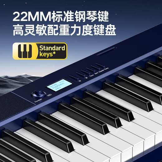 特伦斯（Terence）V30电子琴88键折叠便携式电钢儿童成人专业演奏教学电钢琴