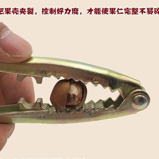 Special pine nut hazelnut clamp nut pliers pine nut pecan clamp dried fruit opener pliers household nut pliers 2 thickened