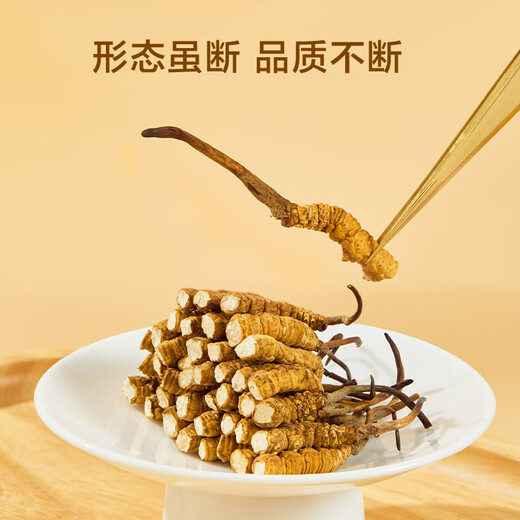 Hergestellt in Jingdong, Cordyceps sinensis 8g, Ergänzungen für ältere Eltern und Älteste, Immunitätsgeschenke, gebrochener Cordyceps sinensis