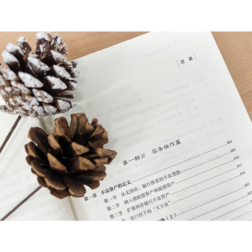 A book to understand non-performing assets (jointly recommended by Wang Wei, Mao Daqing, Ye Tan, Shu Zhongsheng, Zeng Gang, and Chen Daofu)