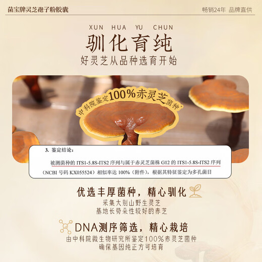 佳尔科菌宝牌灵芝孢子粉胶囊中老年增强免疫力送礼送长辈 60粒/瓶 尝新价（增免疫 调血脂）