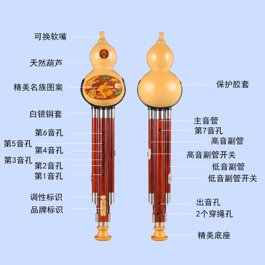 百诺天然专业演奏型葫芦丝乐器成人初学者红木小学生葫芦丝民族乐器 可换嘴天然红木管C调+书
