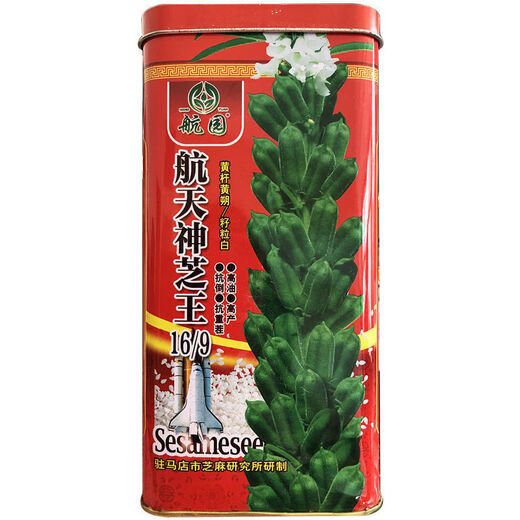 New Aerospace Shenzhi King White Sesame Seed Resistant to Repeated Cropping, High Oil and High Yield Sesame Seed, Dwarf Stem Capsule, Eight-Length Field, One Acre, 500g Barrel, High Oil White Sesame
