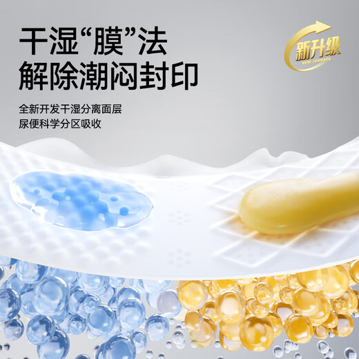 碧芭宝贝大鱼海棠Pro纸尿裤拉拉训练裤试用装婴儿尿不湿体验装 拉拉裤XL码8片