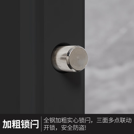 天迎保密柜文件柜智能锁具纯黑通双节TY-BM5266