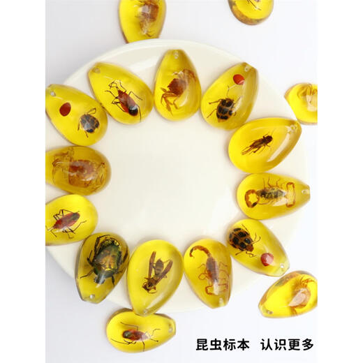 DRJEFUN insect amber specimen blind box insect amber raw stone children's scientific research exploration gift primary school textbook teaching popular science props 50 blind boxes without box shipped with 0 carat machine