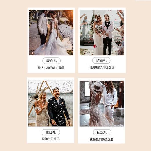 JUST STAR bag women's 2025 new handbag light luxury crossbody bag women's bag women's bag Valentine's Day gift for girlfriend