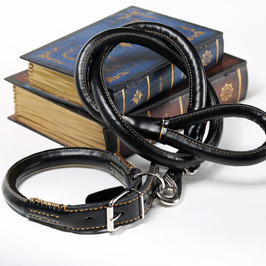 Mika Sanga Medium Dog Large Dog Leash Golden Retriever Husky Samoyed Dog Collar Dog Walking Rope Dog Chain Black XL (60-100 Jin Jin is equal to 0.5 kg)