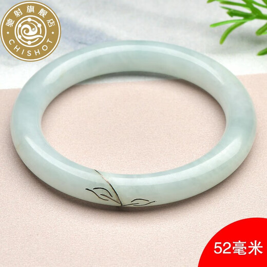 驰射翡翠玉手镯女士冰底淡绿雕花玉镯玉石玉器带证书 [款二约56毫米]QZC6169