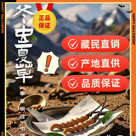 Cordyceps sinensis (10 % Rabatt auf jede Fälschung) Cordyceps sinensis-Geschenkbox, Nahrungsergänzungsmittel, frische Cordyceps-Tonika, Gesundheitsprodukte, tibetisches Nagqu 3 Stück/Gramm Cordyceps 50 Stück-Geschenkbox.