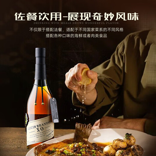 加兰帕斯法国洋酒40°烈酒XO白兰地桶藏十年微醺白兰地双支700mL*2