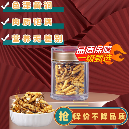 
[Treat the broken grass] Cordyceps sinensis large broken grass authentic Tibetan area broken grass genuine dried goods for self-eating. 10 grams of broken grass at high altitude in Nagqu, Tibet. One gram of broken grass is given in 10 grams of broken grass at high altitude in Nagqu, Tibet.