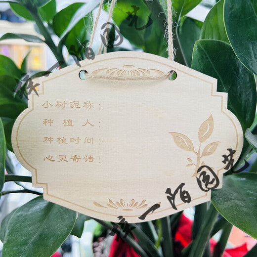 Customized wooden tags starting from 10 pieces, school Arbor Day tags, tree adoption tags, plant tags, horse racing planting tags, 10 pieces