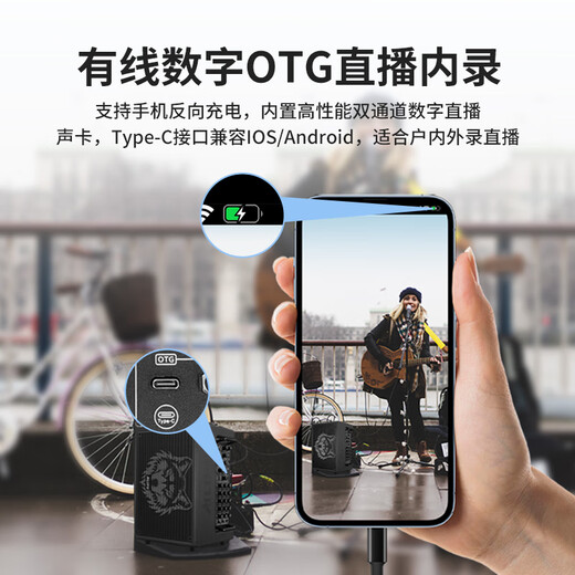 Ellip SE300 audio outdoor karaoke live broadcast internal recording electric blowpipe saxophone guitar singing audio mobile portable high-power Bluetooth stage performance speaker official flagship SE300 forest green + CQA3318 microphone