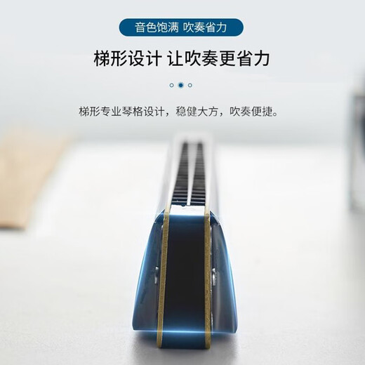 天鹅SWAN口琴 24孔标准复音演奏口琴C调（经典黑）【高级定制】