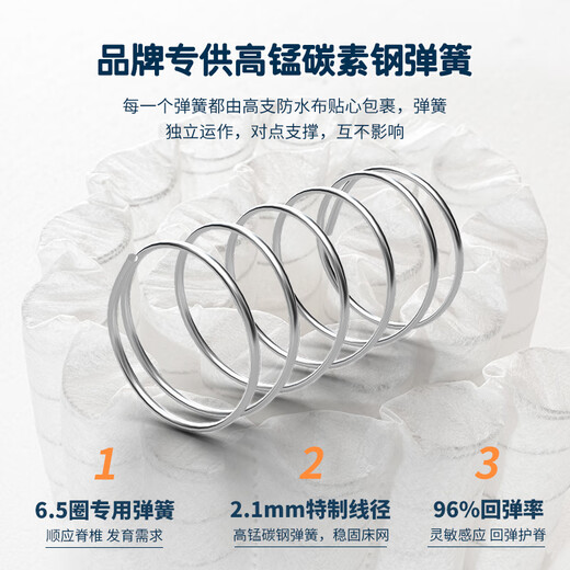 寻梦者护脊十大名牌床垫3D无胶精细黄麻乳胶婴儿上下床定制折叠薄垫 J款 2cm黄麻+6.5圈弹簧【14cm】 1350*2000mm
