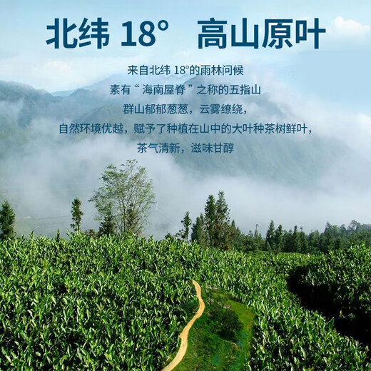 品香园红茶9908气度水满润红茶盒装小包装茶包海南红茶 9908润红茶120g
