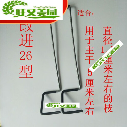 蓝彩何2023新款果树拉枝神器果树开角器拉枝器定型器压枝器S型别 改进12200根