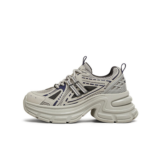 Tianmeiyi Dad Chaussures Chaussures pour femmes Mall Soms à lacets à lacets à lacets pour femmes Chaussures décontractées 2025 Spring and Automne Style BK831AM5 Silver 34