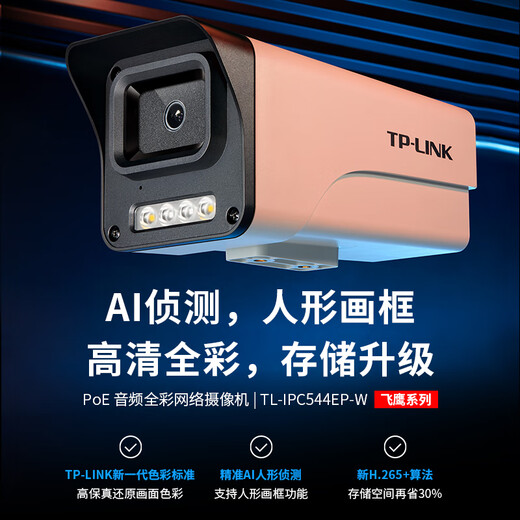 Cámara de vigilancia de TP-Link 4 millones de alumnos de alta definición a todo color Visión nocturna Poe Poe Pickup Outdoor Sound Camina de detección móvil impermeable TL-IPC544EP-W4