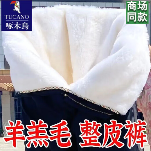啄木鸟羊毛裤内胆皮毛一体棉裤男女冬季中老年加厚保暖防寒整张环保皮裤 整张环保羊毛裤 XL 130-155斤