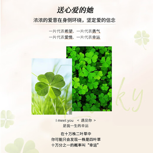 梦黛丽MENGDAILI纯银四叶草手链【可刻字】女款轻奢小众银手镯女生礼物 少女心四叶草手链-本地仓