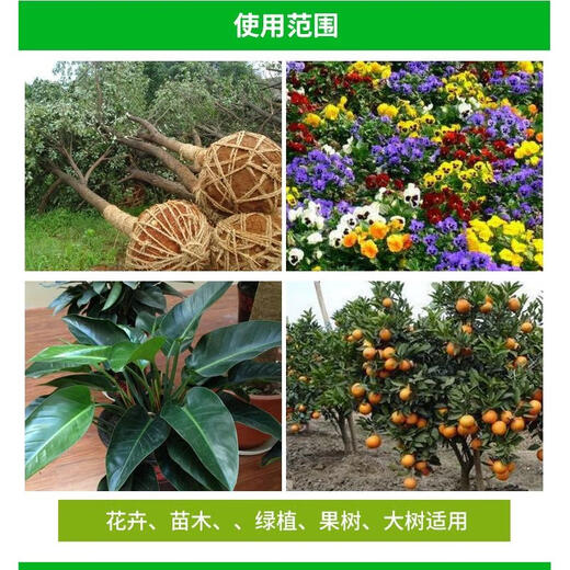 Guoguang Guoguang raw and naphthalene acetic acid seedling strengthening agent pesticide rooting powder plant universal growth regulator 2.5g