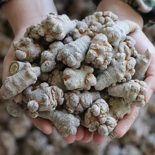 Yunnan Wenshan Chun Sanqi Wild Wild Fields Qi Prix de gros sans cire Sanqi Head Sanqi Flower Wake Soaked Agricultural Products 250g (30 pièces)