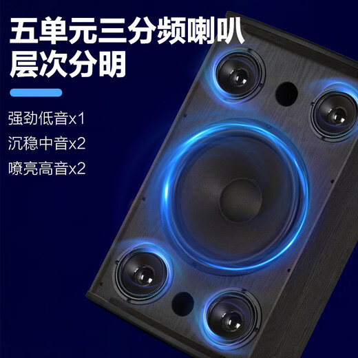 Wanlida Heim-KTV-Audio-Set, Leistungsverstärker, Karaoke-Maschine, Gesangsmaschine, System, Touchscreen, All-in-One-Karaoke-Heim-Karaoke-Lautsprecher-Ausrüstung, komplettes Set BY-310 10-Zoll-Set + 500G Karaoke-Maschine + Subwoofer