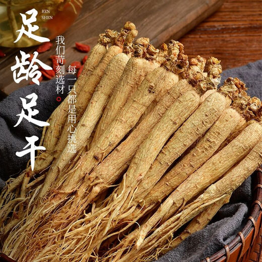 Kompendium des Cinnamomum Changbai Mountain getrockneter Ginseng White Ginseng 10-jährige Ginseng Prauning ausgewählte Wild Mountain Ginseng Nordost-Spezialitätengewinnung gewonnener Wein und Suppengarten Ginseng ausgewählt ausgewählt Changbai Mountain Wild Ginseng ausgewählte 12-jährige Ginseng [60 Gramm] etwa 12 Wurzeln