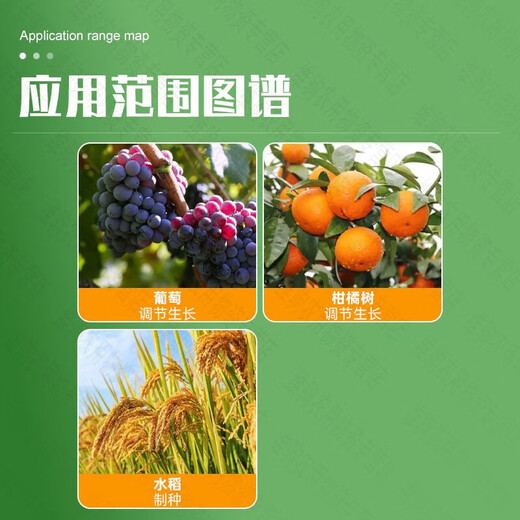 Guoguang Dingyue gibberellin 920 gibberellic acid grape germination and earing citrus growth regulator for flower and fruit preservation 50 50ml*3 bottles