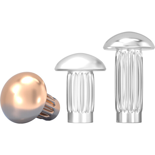 Tianzhuo Hardware GB827 stainless steel 304 sign rivets aluminum knurled nameplate copper trademark solid rivets M2M2.5M3M4M5mm M4*6 50 pieces copper